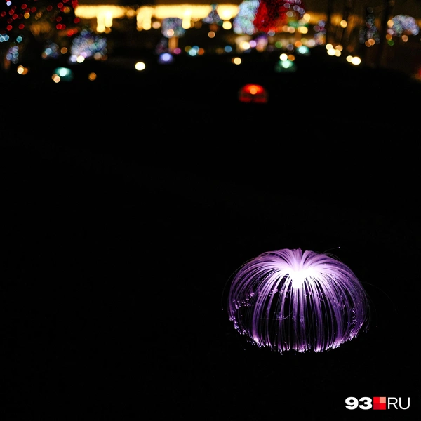 Источник: Дарья Паращенко / 93.RU