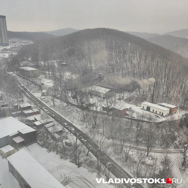 Источник: Татьяна Акишина / VLADIVOSTOK1.RU