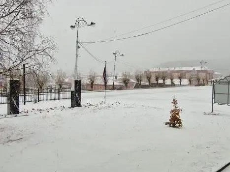 В городе по-прежнему стоит новогодняя ель | Источник: Читатель E1.RU 