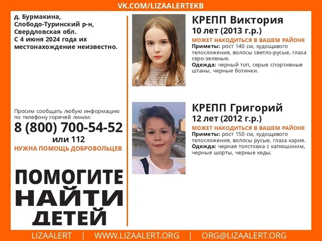 Ориентировка на детей | Источник: Поисковый отряд «ЛизаАлерт» Тюменской области / Vk.com