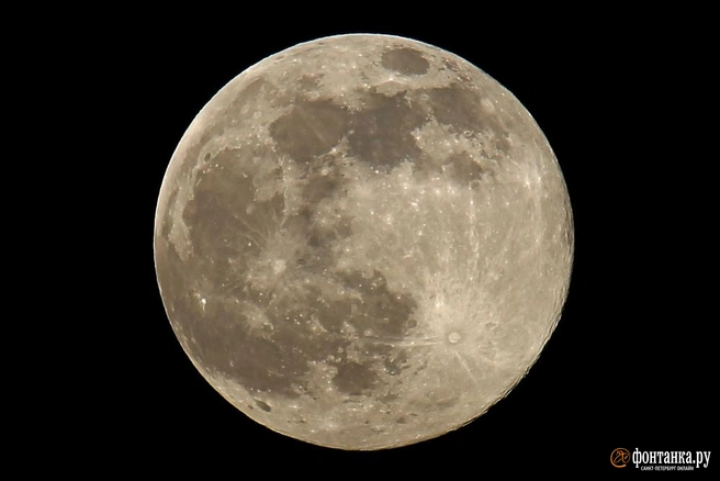 Стало известно, когда на небе можно будет увидеть «суперлуну» | Источник: Павел Каравашкин / «Фонтанка.ру»