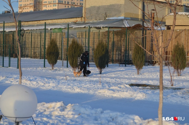 Собаки требуют, чтобы их выгуливали, в любой день, даже утром 1 января | Источник: Сергей Петунин / 164.RU