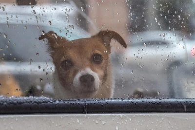 Иркутские синоптики сообщили о продлении морозов
