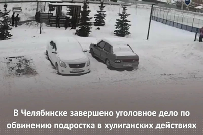 В Челябинске завершено дело по хулиганству подростка