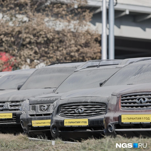 Пыль покрывает машины толстым слоем | Источник: Александр Ощепков / NGS.RU