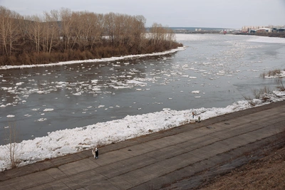 Вода отступает: уровень рек в Кузбассе пошёл на спад