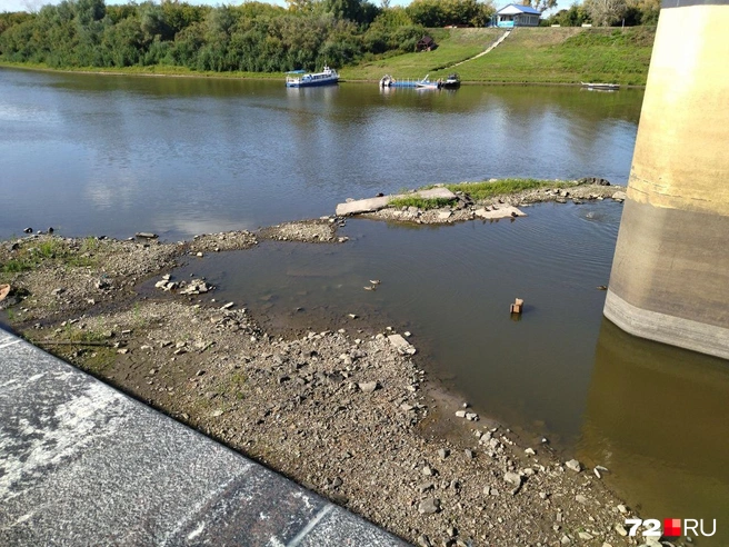 За прошедшее лето уровень воды в реке заметно снизился | Источник: читатель 72.RU