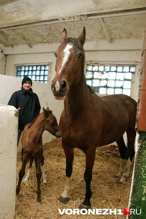 Счастливая мама Запазуха с новорожденной дочкой Зорькой Алой | Источник: Александр Зинченко / Voronezh1.ru