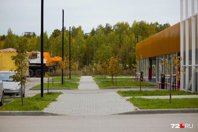 Совсем рядом с кварталом&nbsp;— большой парк | Источник: Павел Красоткин / 72.RU 