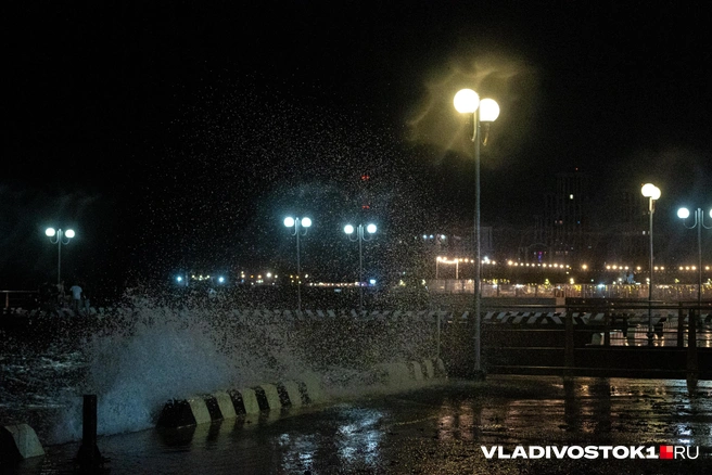 Источник: Елена Буйвол / VLADIVOSTOK1.RU