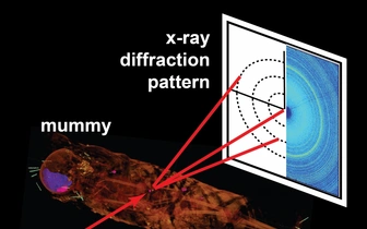 Ученые предложили новый способ исследования мумий без вскрытия