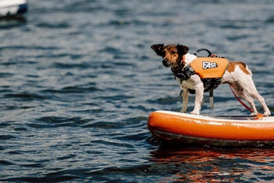 Фестиваль «Рязанское море» перенесён в Борковский затон