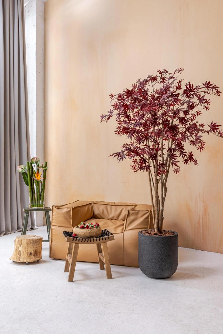 Источник: Treez Collection