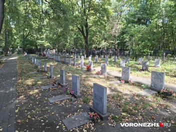 Источник: Алёна Воропаева / Voronezh1.ru