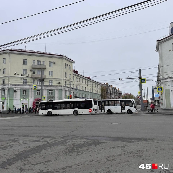Источник: Юлия Король