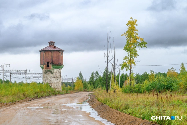 Семь изгибов на версту. | Источник: Олег Фёдоров / CHITA.RU