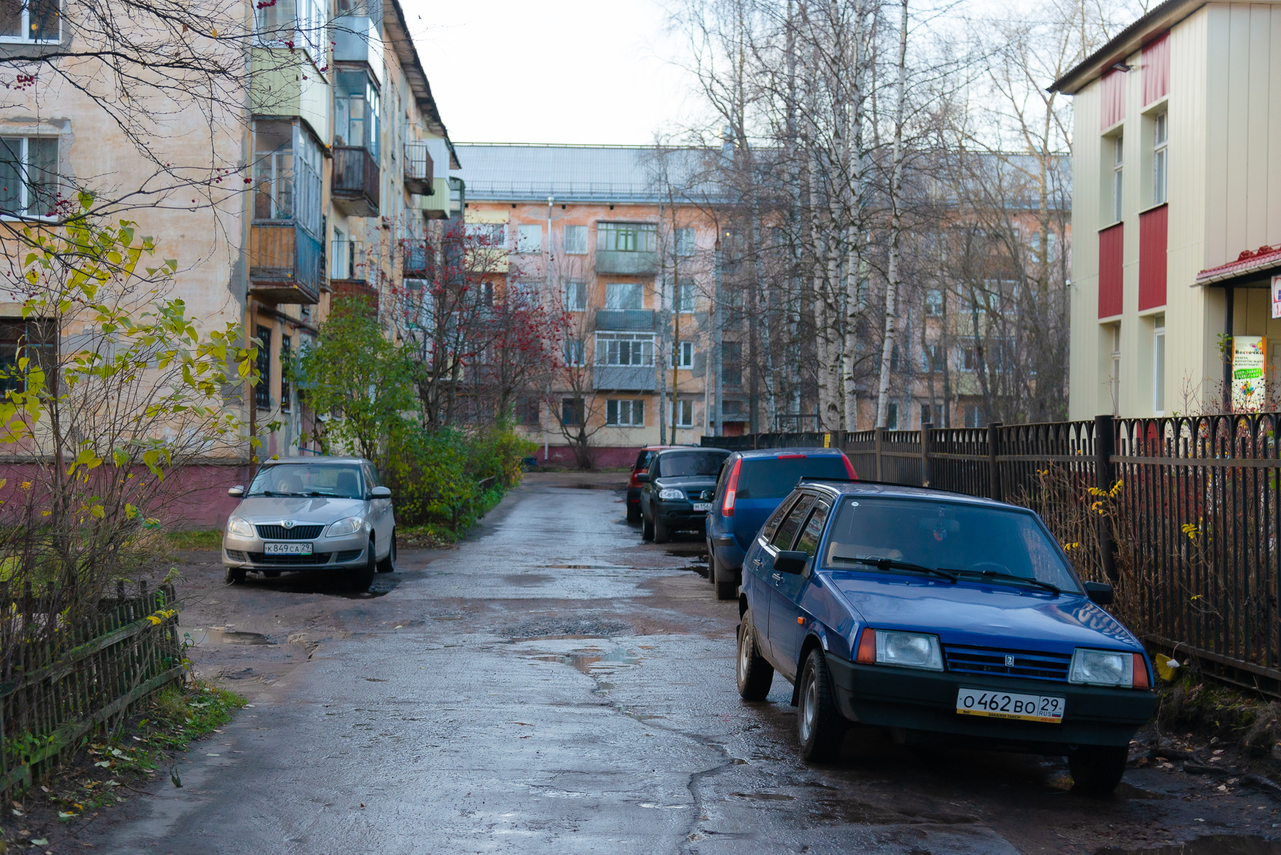 До +22 °С: какая погода будет в Архангельской области во вторник