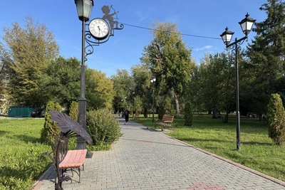 Курганской художнице предложили дом для мурала