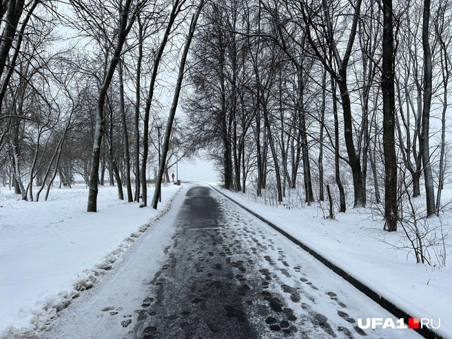Зимой в этом парке очень красиво | Источник: Андрей Бирюков / UFA1.RU