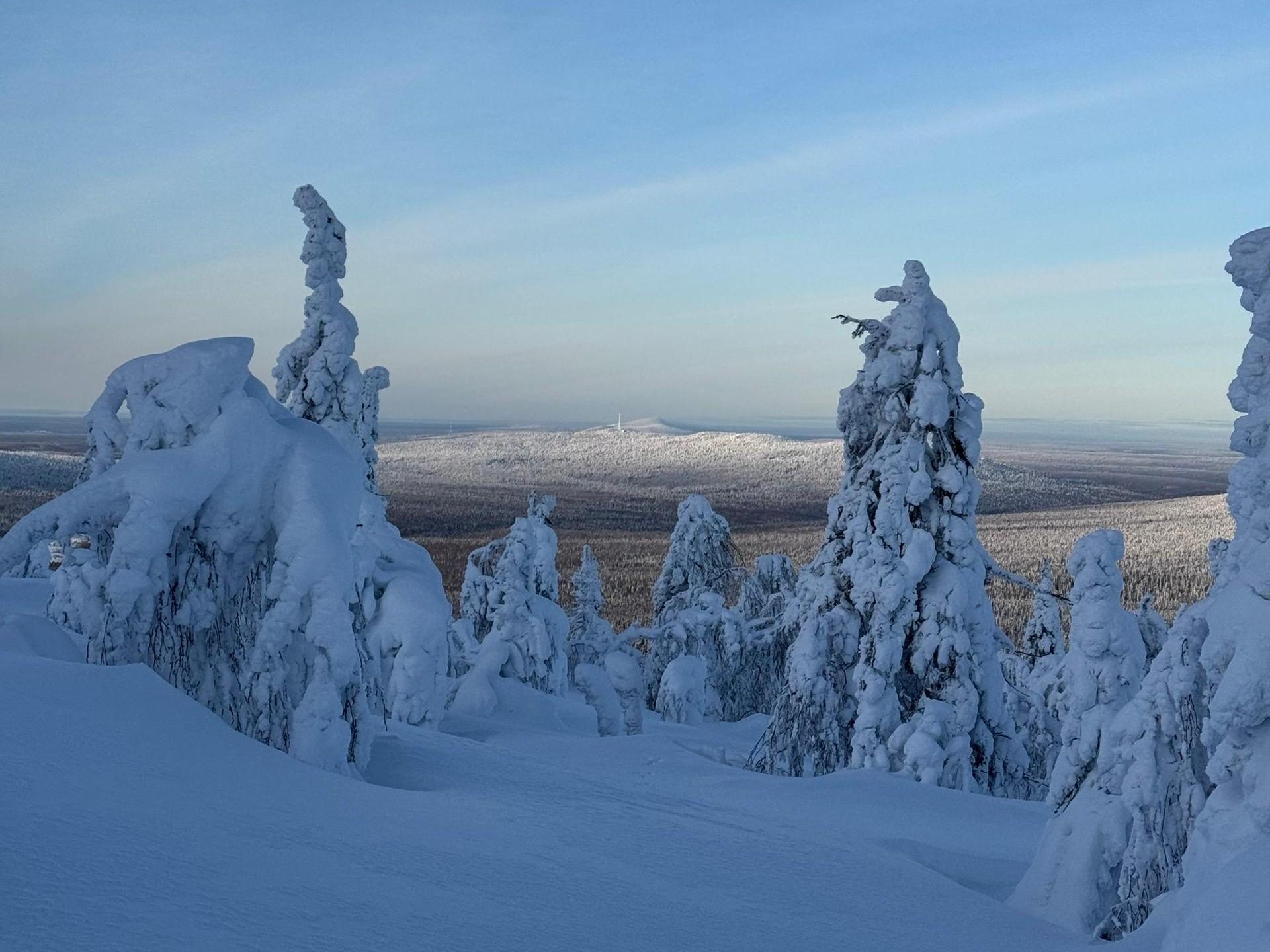 После морозов Прикамье накроет долгий снегопад — прогноз