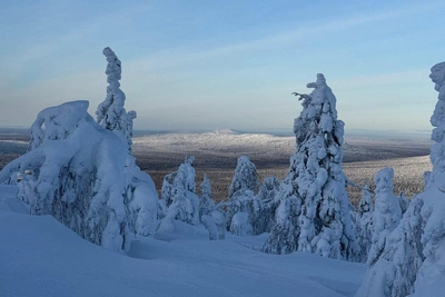 Прикамье ждет долгий снегопад после морозов