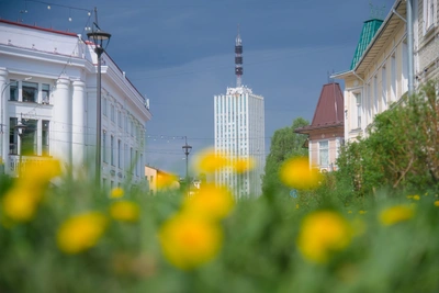 Жара до +30°C и грозы в Архангельской области