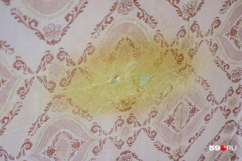 Оцените, как часто он это делал за два года | Источник: Тимофей Калмаков / 59.RU