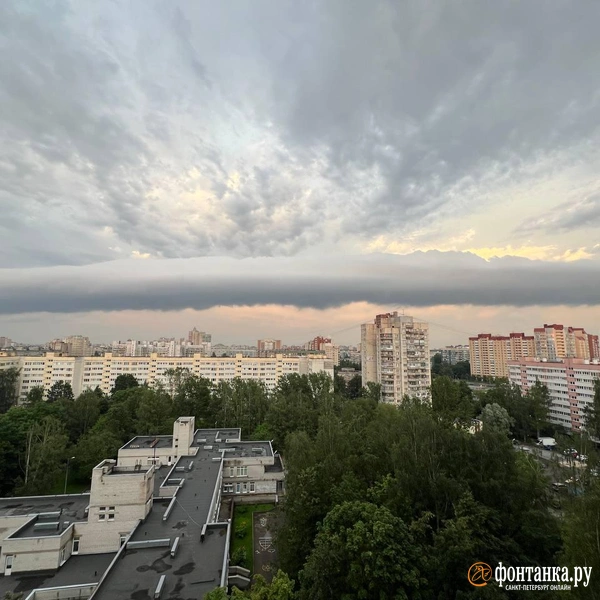 Источник: читатель «Фонтанки»