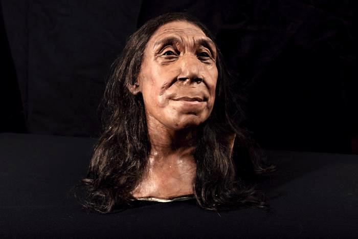 Посмотрите, как выглядела женщина-неандерталец: ее череп собрали из 200 осколков