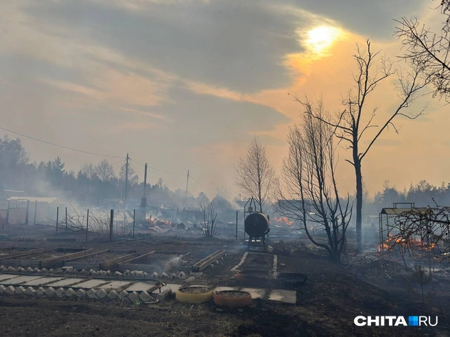 Вот что огонь оставил после себя | Источник: Олег Фёдоров / CHITA.RU