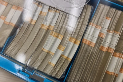 Kuzbass State Debt Hits Record High