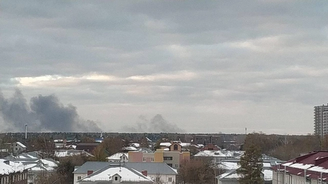 Открытый огонь потушили | Источник: читатель НГС
