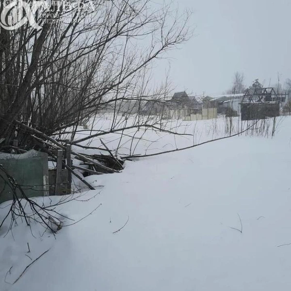 Площадь участка&nbsp;— 12 соток | Источник: realty.yandex.ru