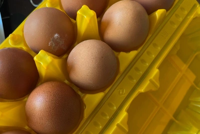 Красноярский край в тройке лидеров по дорогим яйцам в Сибири