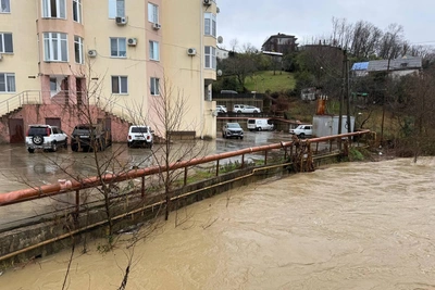 Мэр Сочи: ситуация с Херотой в Адлере под контролем