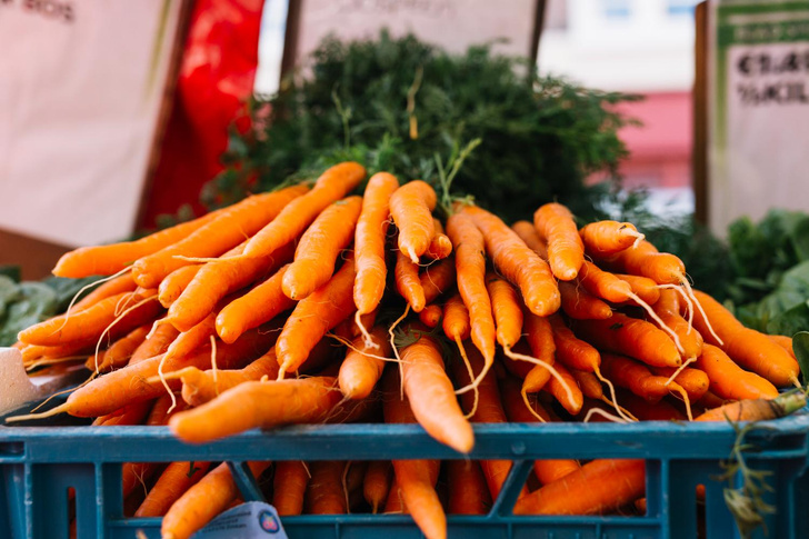 Выбирайте некрасивую морковь: она полезнее. Терапевт Жито объяснил почему