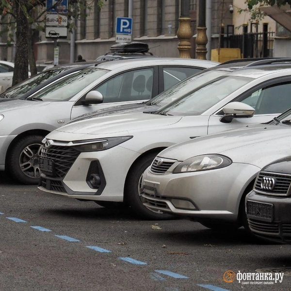 Источник: Михаил Огнев / «Фонтанка.ру»