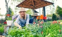 Притягивают удачу: 10 цветов, которые сделают сад красивее, а вас — счастливее