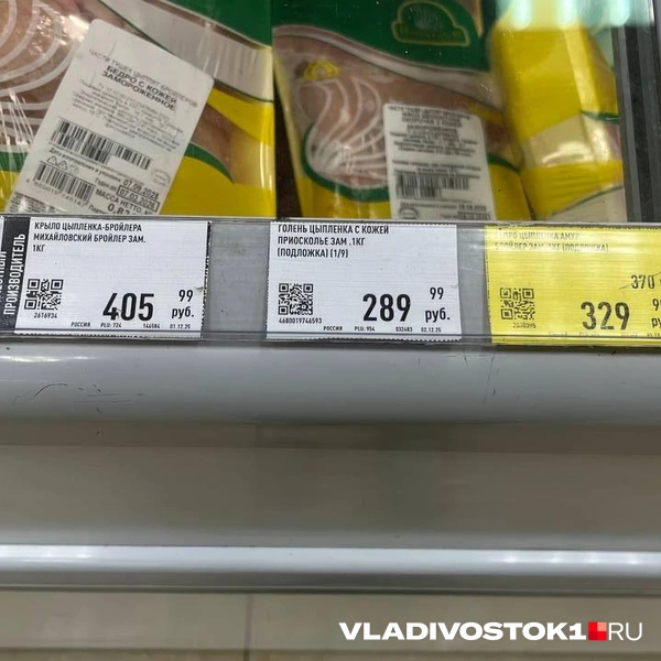 Источник: Елена Буйвол / VLADIVOSTOK1.RU