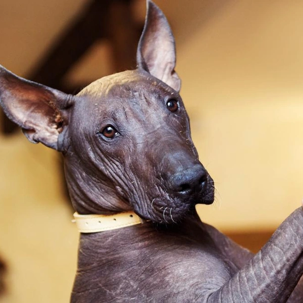 Источник: Xolodan/Shutterstock/Fotodom.ru