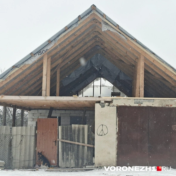 Источник: Алёна Воропаева / Voronezh1.ru