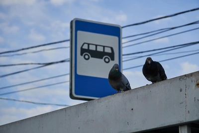 Водители автобусов в Челябинске пропускают остановки по требованию