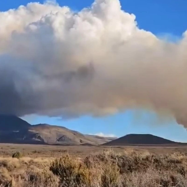 Источник: скриншот @StuffNewZealand