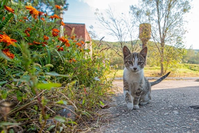 В Забайкалье на выходных ожидается умеренно тёплая погода с осадками