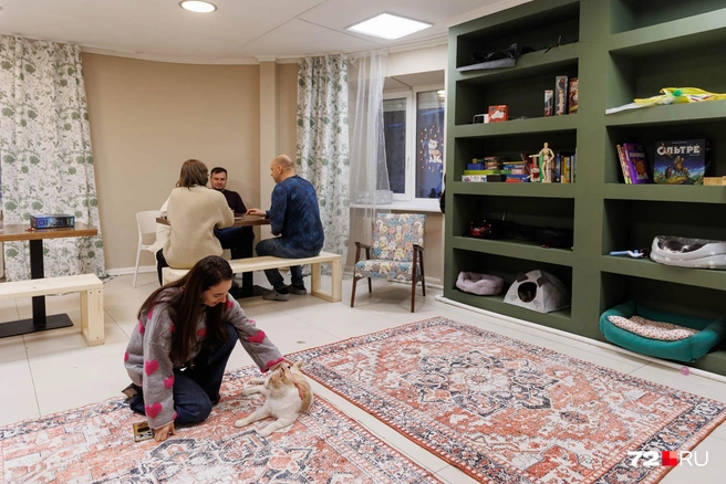 Так выглядит комната, которую можно арендовать | Источник: Ирина Шарова / 72.RU