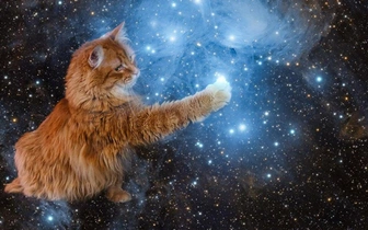 Пушистый космонавт: взгляните, как известный астрофотограф добавил на свои снимки любимого кота (и они стали еще лучше)