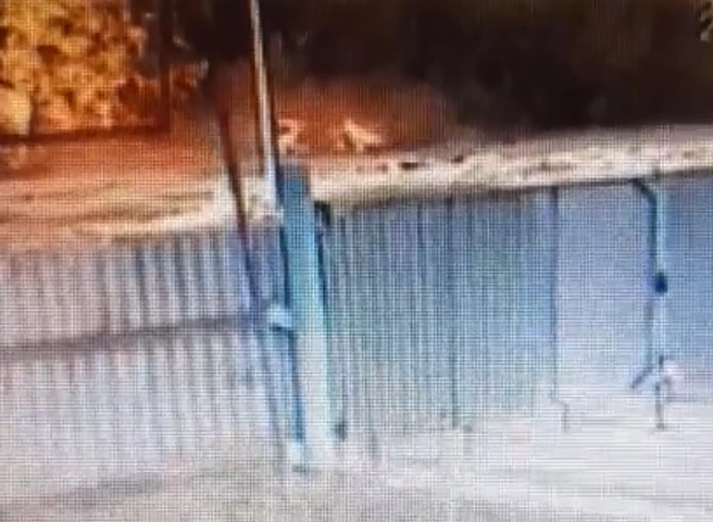 Кадр видео с моментом аварии