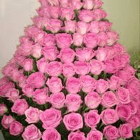 Аватарка Франциска