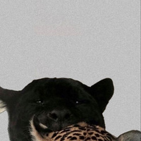 Аватарка Princess 