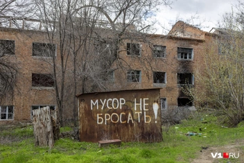 Призыв к совести написан крупными буквами | Источник: Константин Завриков / V1.RU